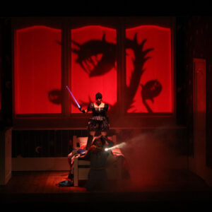 2012 Il flauto magico