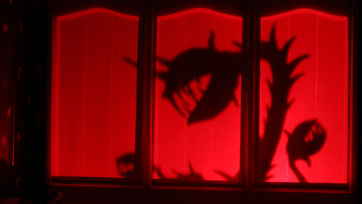 2012 Il flauto magico